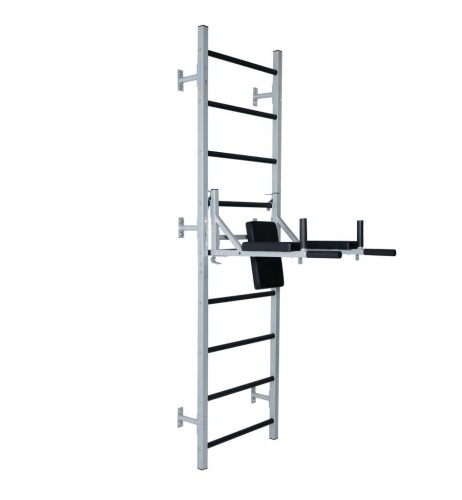 Навесные «Брусья-пресс со стойкой под штангу» HOMEGYMS Домашние тренажеры Навесные «Брусья-пресс со стойкой под штангу» HOMEGYMS Домашние тренажеры