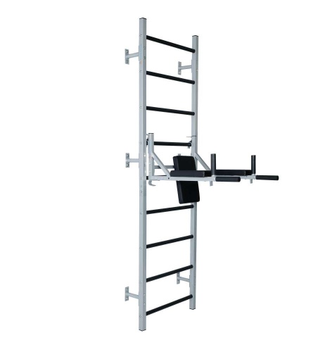 Навесные «Брусья-пресс со стойкой под штангу» HOMEGYMS Домашние тренажеры Навесные «Брусья-пресс со стойкой под штангу» HOMEGYMS Домашние тренажеры